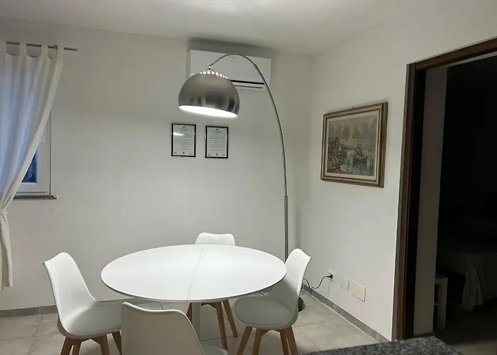 Grace 101 * Vigevano